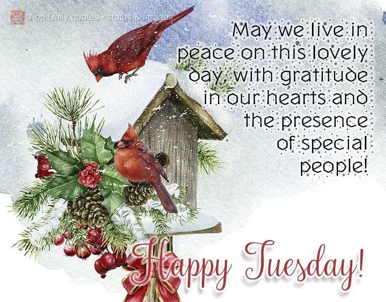 May we live in peace on this lovely day, with gratitude in our hearts and the presence of special people! Happy Tuesday!