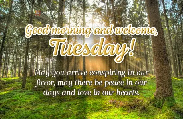 May you arrive scheming in our favor, may there be peace in our days and love in our hearts. Good morning and welcome, Tuesday!