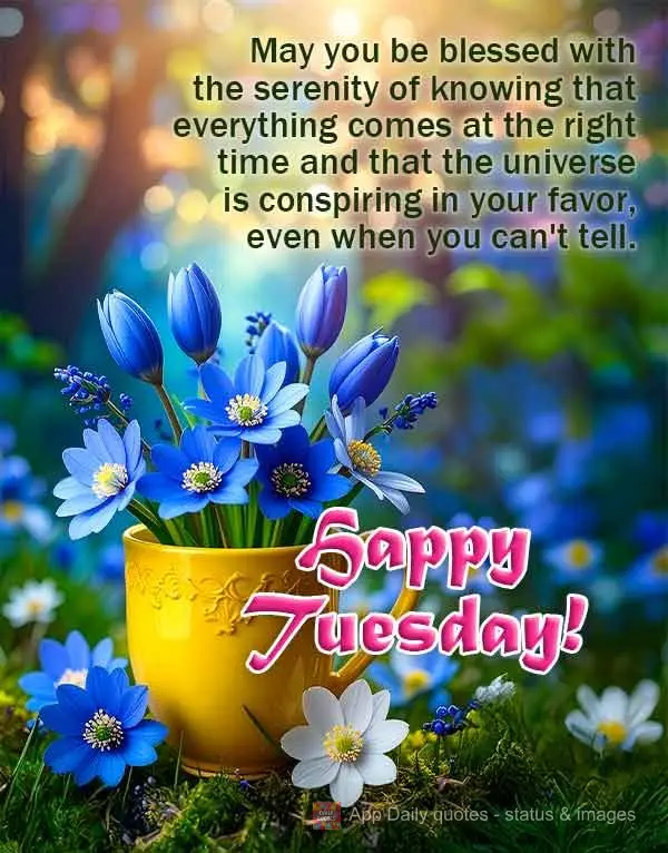 May you be blessed with the serenity of knowing that everything comes at the right time and that the universe is conspiring in your favor, even when you ...