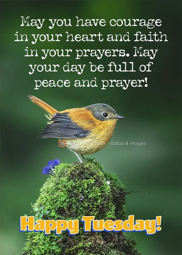 May you have courage in your heart and faith in your prayers. May your day be full of peace and praise! Happy Tuesday!