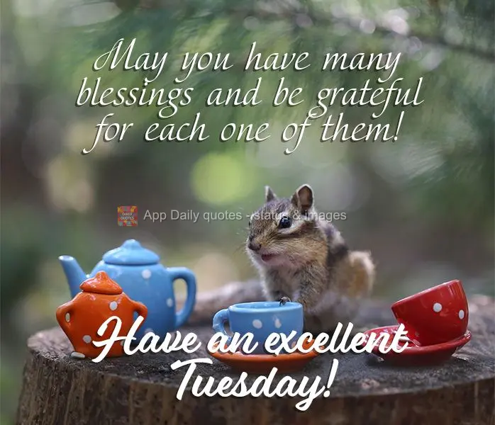 May you have many blessings and be grateful for each one of them! Have an excellent Tuesday!
