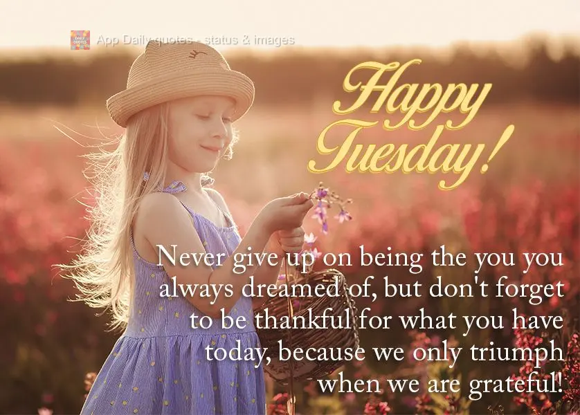 Never give up on being the you you always dreamed of, but don't forget to be thankful for what you have today, because we only triumph when we are gratef...