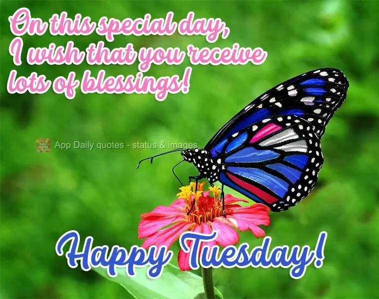 On this special day, I hope that you receive many blessings!  Happy Tuesday! 