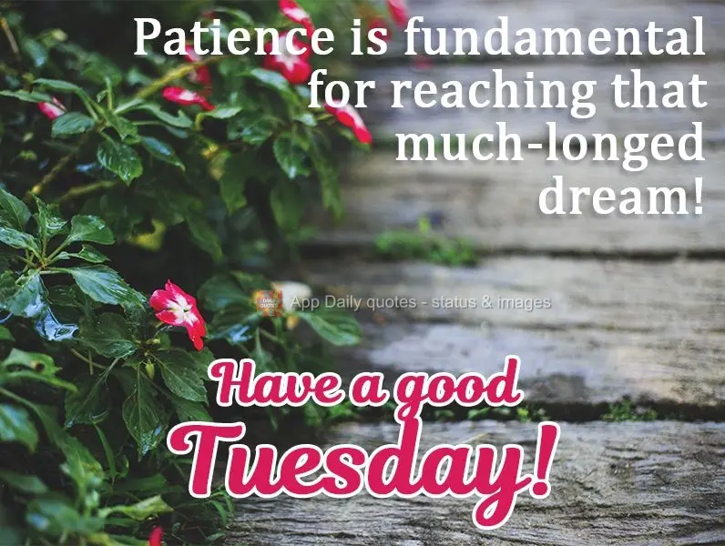 Patience is fundamental for reaching that much-longed for dream!  Have a good Tuesday! 