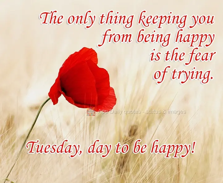 The only thing keeping you from being happy is the fear of trying. Tuesday, a day to be happy!