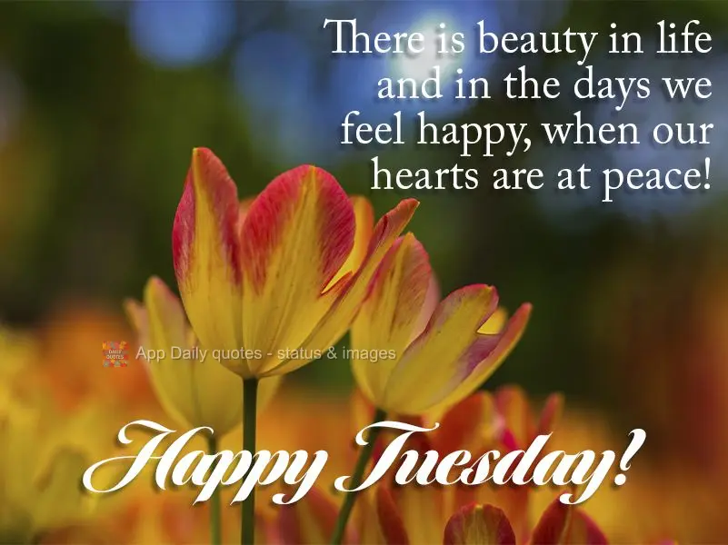 There is beauty in life and in the days we feel happy, when our hearts are at peace! Happy Tuesday!