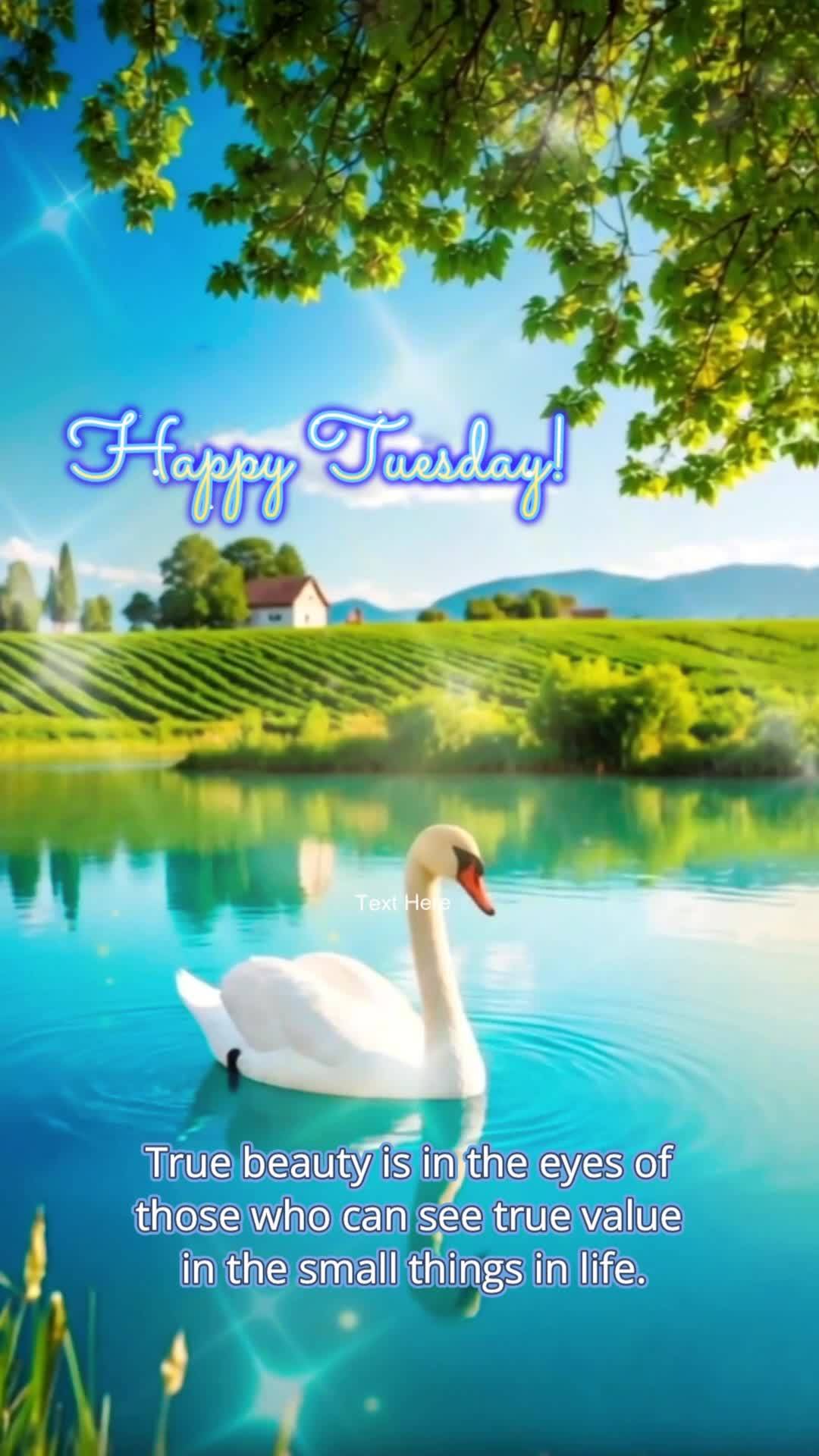 True beauty is in the eyes of those who can see true value in the small things in life. Happy Tuesday!