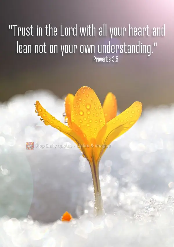"Trust in the Lord with all your heart and lean not on your own understanding." Proverbs 3:5