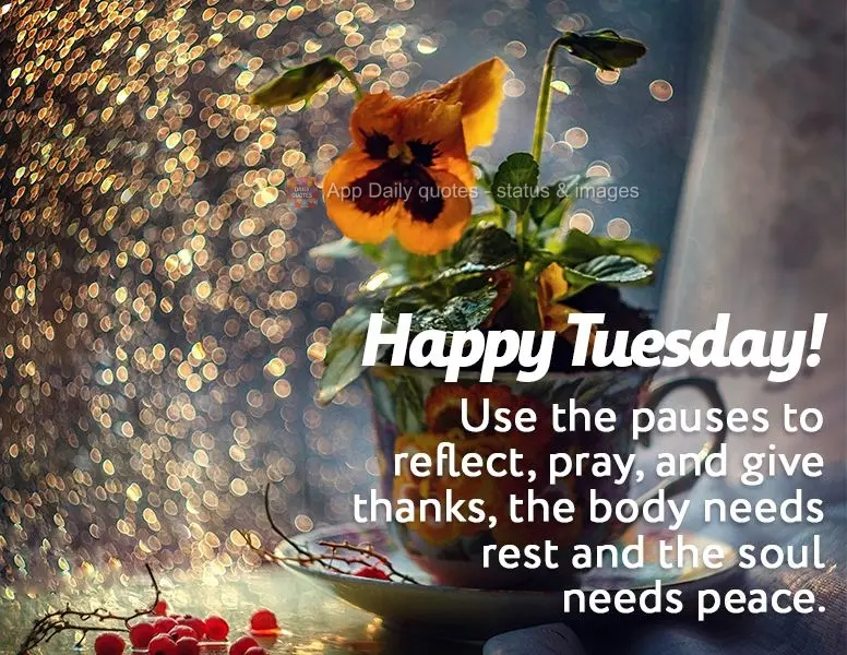 Use the pauses to reflect, pray, and give thanks. The body needs rest and the soul needs peace. Happy Tuesday!