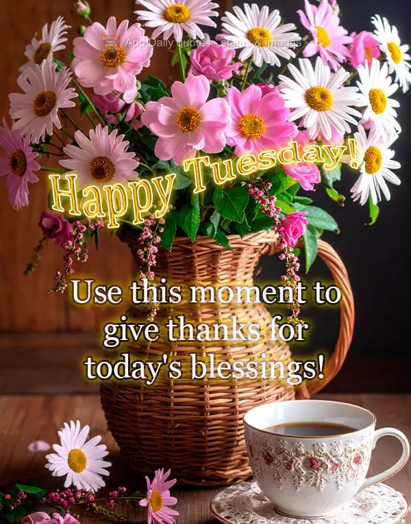 Use this moment to give thanks for today's blessings! Happy Tuesday!