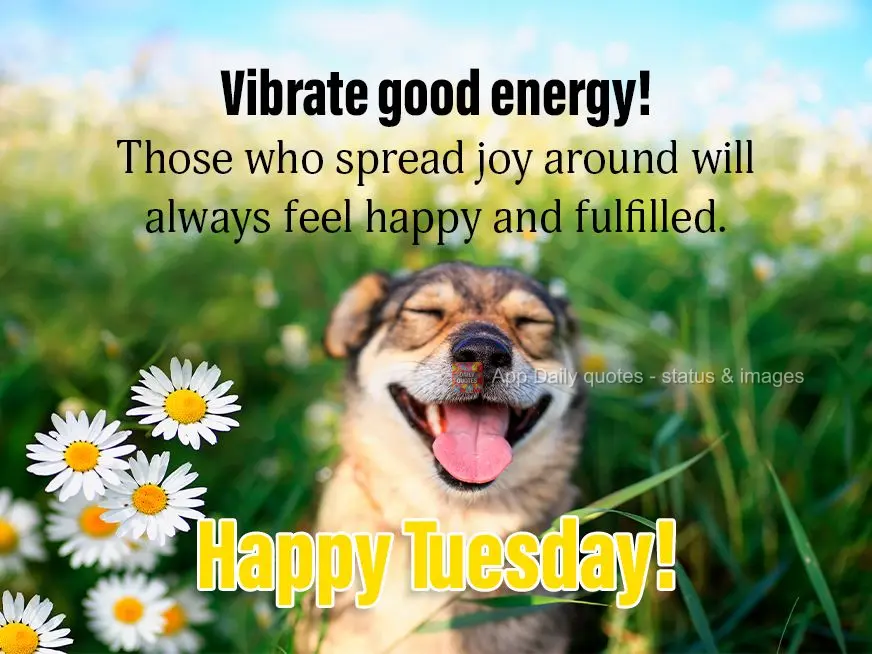 Vibrate good energy! Those who spread joy will always feel happy and fulfilled. Happy Tuesday!