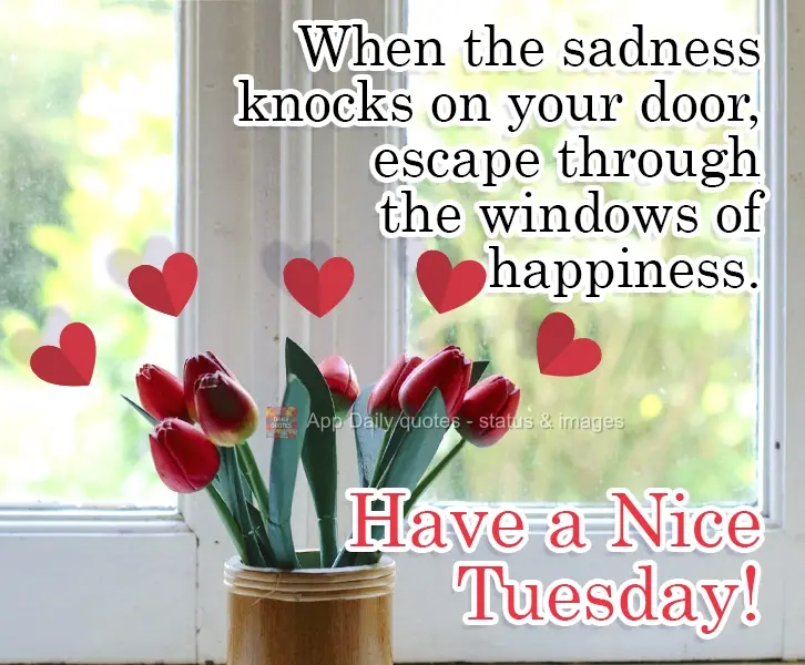 When sadness knocks on your door, escape through the window of happiness. Have a Nice Tuesday!