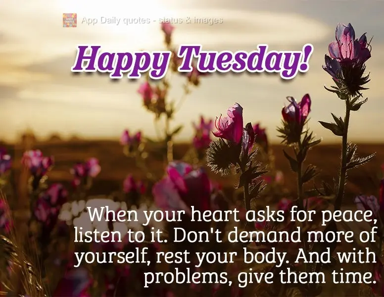 When your heart asks for peace, listen to it. Don't demand more of yourself, rest your body. And with problems, give them time. Happy Tuesday!