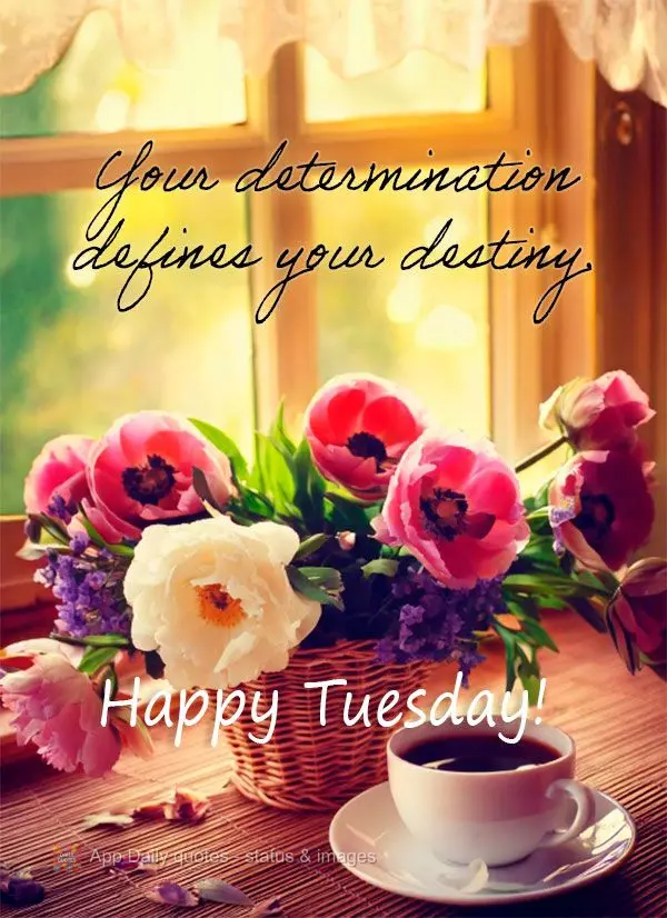 Your determination defines your destiny. Happy Tuesday!