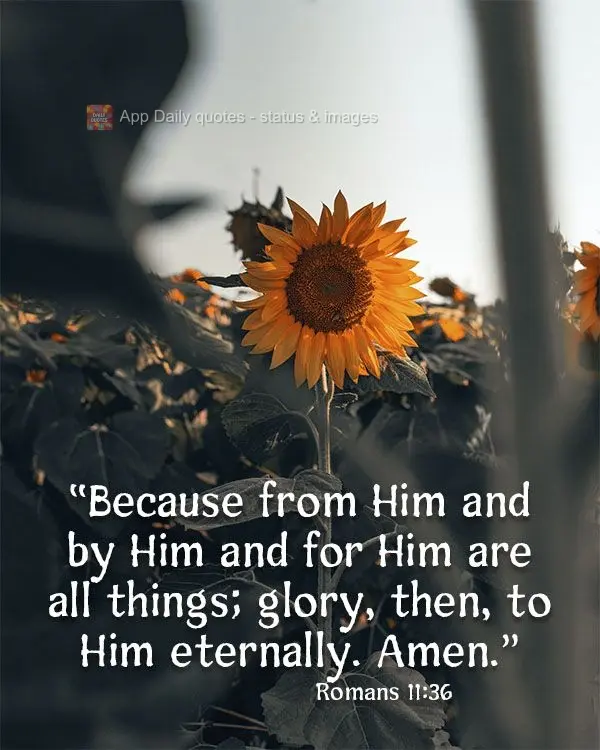 "Because from Him and by Him and for Him are all things; glory, then, to Him eternally. Amen." Romans 11:36