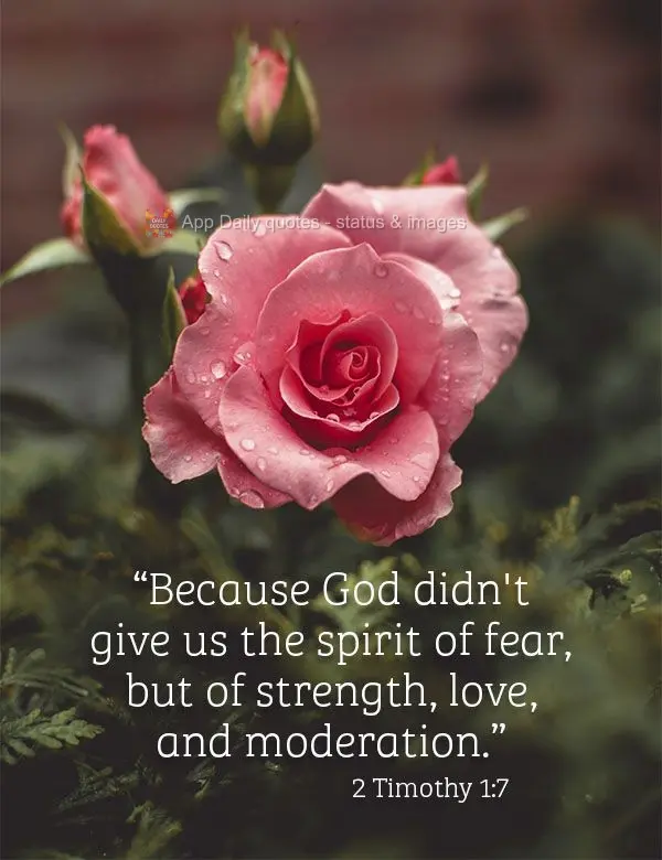 "Because God didn't endow us with the spirit of fear, but of strength, love, and moderation." 2 Timothy 1:7