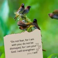 "Do not fear, for I am with you; do not be dismayed, for I am your God. I will strengthen you and help you; I will uphold you with my victorious right ha...