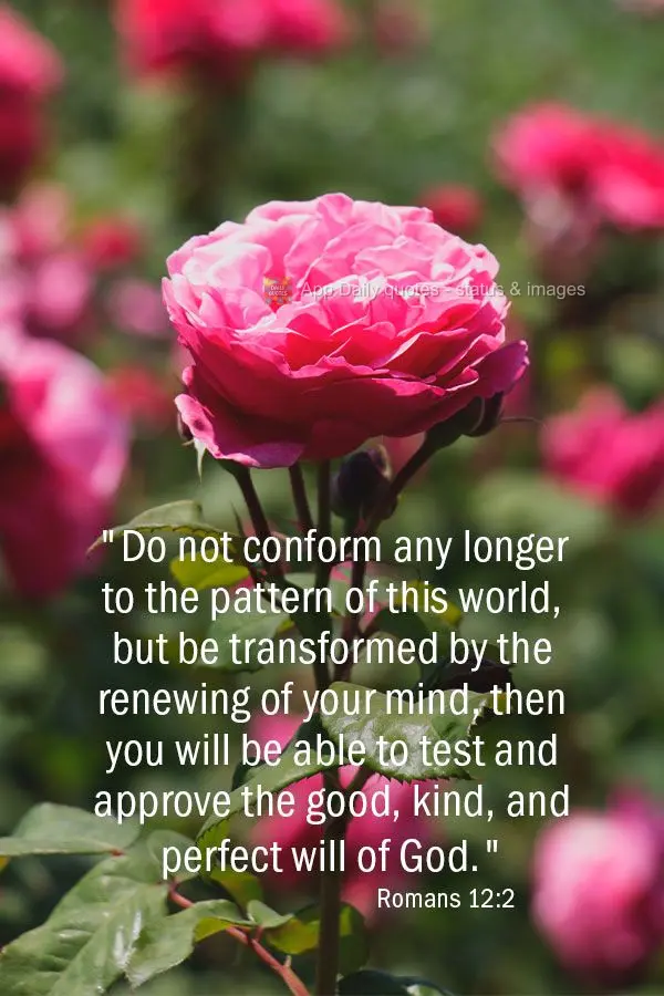 "Do not mold yourself to the pattern of this world, but be transformed by renewing your mind, then you will be able to test and approve the good, kind, a...