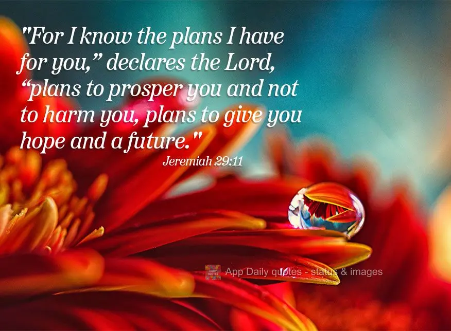 "For I know the plans I have for you,” declares the Lord, “plans to prosper you and not to harm you, plans to give you hope and a future." Jeremiah 2...