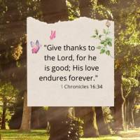 "Give thanks to the Lord, for he is good; His love endures forever." 1 Chronicles 16:34