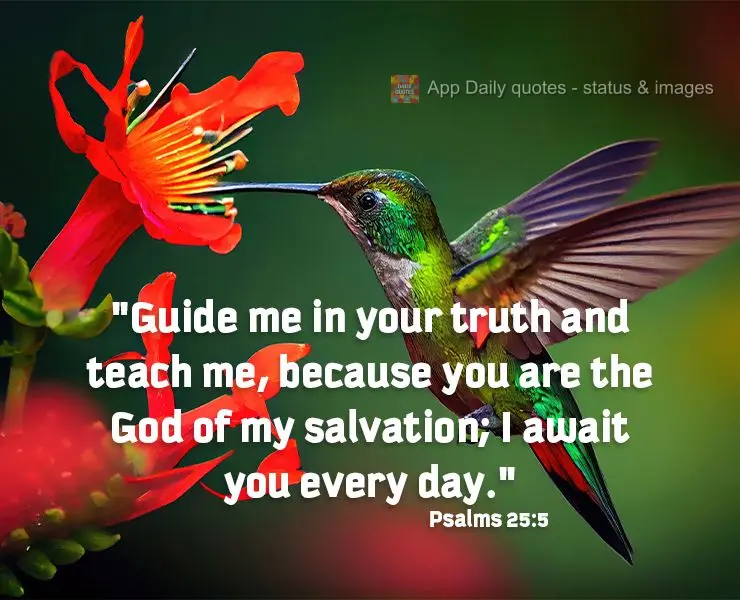"Guide me in your truth and teach me, because you are the God of my salvation; I await you every day."2 Psalms 25:5