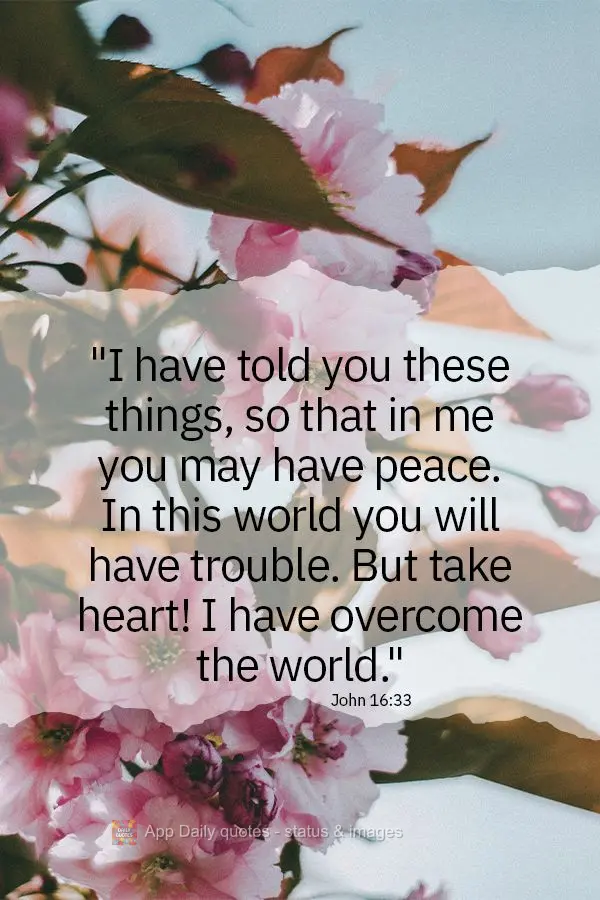 "I have told you these things, so that in me you may have peace. In this world you will have troubles. But take heart! I have overcome the world." John 1...