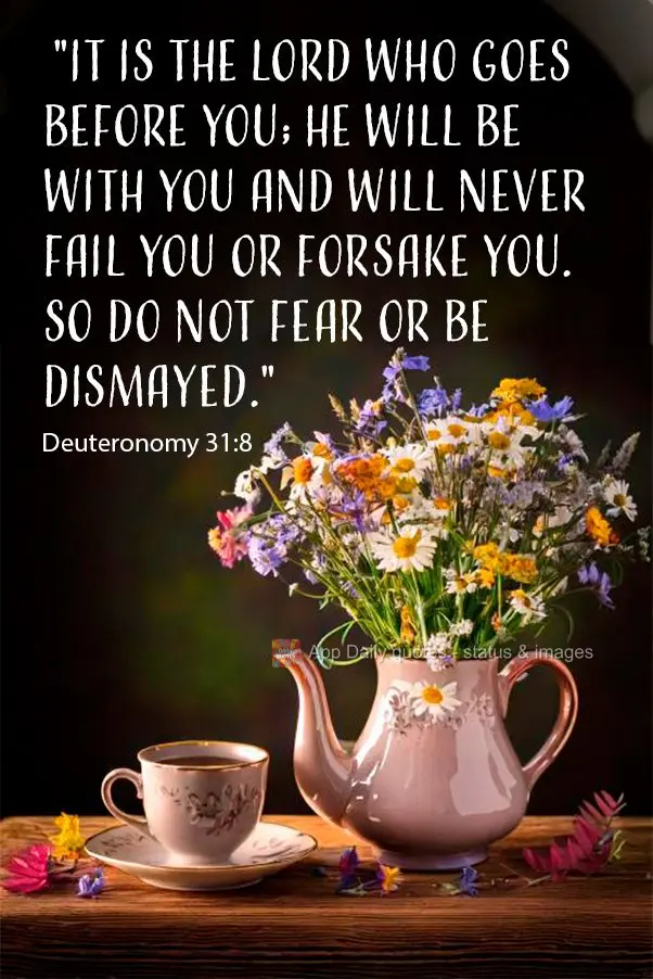  "It is the Lord who goes before you; he will be with you and will never fail you or forsake you. So do not fear or be dismayed." Deuteronomy 31:8