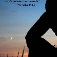 "Many are the plans in a person's heart, but it is the Lord's purpose that prevails." Proverbs 19:21