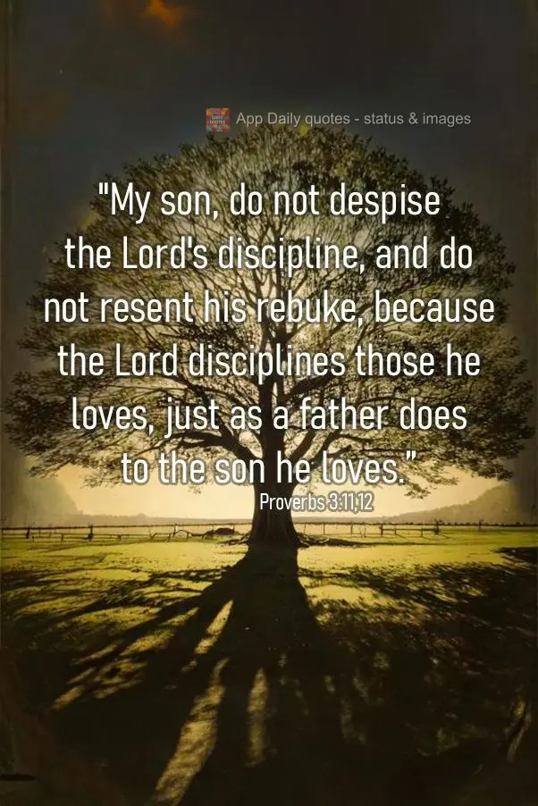 "My son, do not despise the Lord's discipline, and do not resent his rebuke, because the Lord disciplines those he loves, just as a father does to the so...