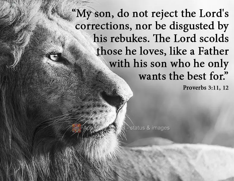 "My son, do not reject the Lord's corrections, nor be disgusted by his rebukes. The Lord scolds those he loves, like a Father who only wants the best for...