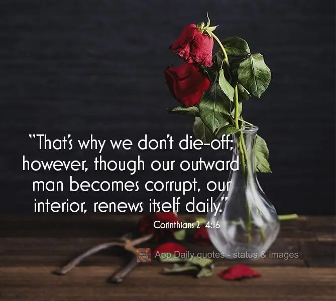 "That's why we don't die-off; however, though our outward man becomes corrupt, our interior, renews itself daily." Corinthians 2 4:16