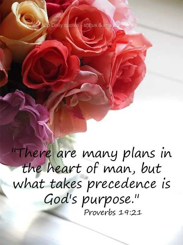 "There are many plans in the heart of man, but what takes precedence is God's purpose." Proverbs 19:21