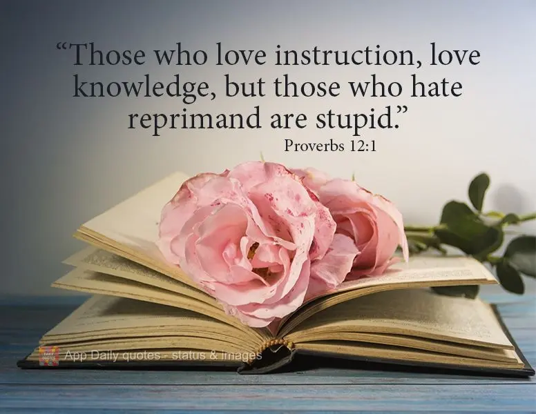 "Those who love instruction, love knowledge, but those who hate being corrected are stupid." Proverbs 12:1
