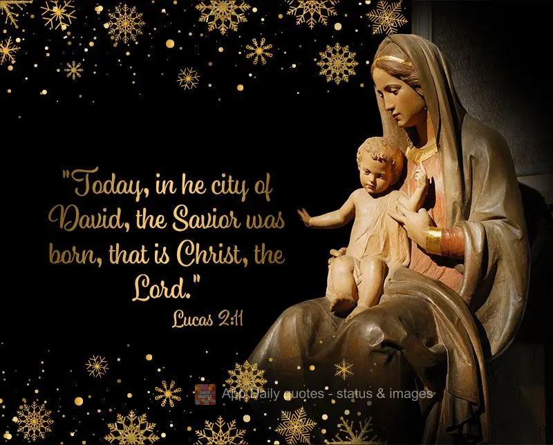 "Today, in the city of David, the Savior was born, who is Christ, the Lord." Lucas 2:11