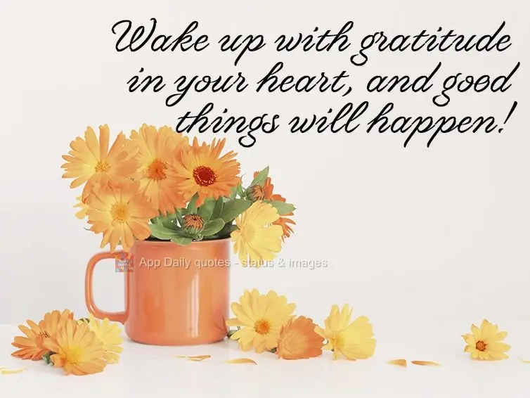 Wake up with gratitude in your heart, and good things will happen!