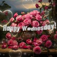 Happy Wednesday!