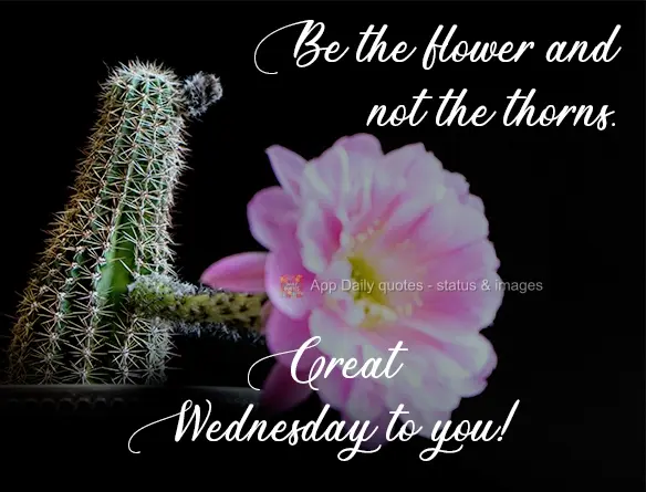 Be the flower and not the thorns. Wishing you a great Wednesday!