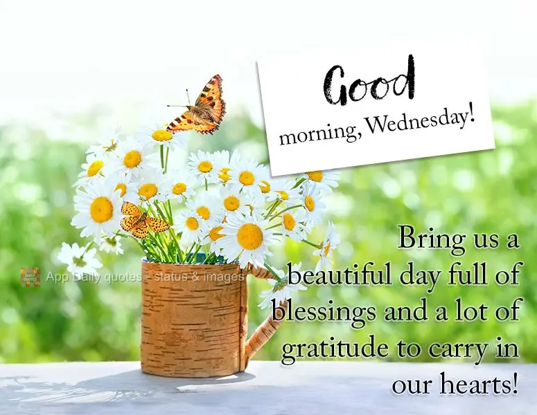 Bring us a beautiful day full of blessings and a lot of gratitude to carry in our hearts! Good morning, Wednesday!