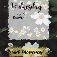 Wednesday
Deliver your path to the Lord;
trust in Him, and He will act:
Psalm 37:5
Good morning Good morning