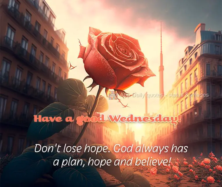 Don't lose hope. God always has a plan. Have faith and trust in Him! Have a good Wednesday!