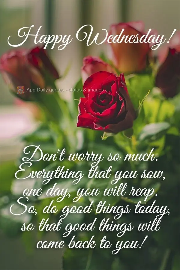 Don't worry so much. Everything that you sow, one day, you will reap. So, do good things today, so that good things will come back to you! Happy Wednesda...