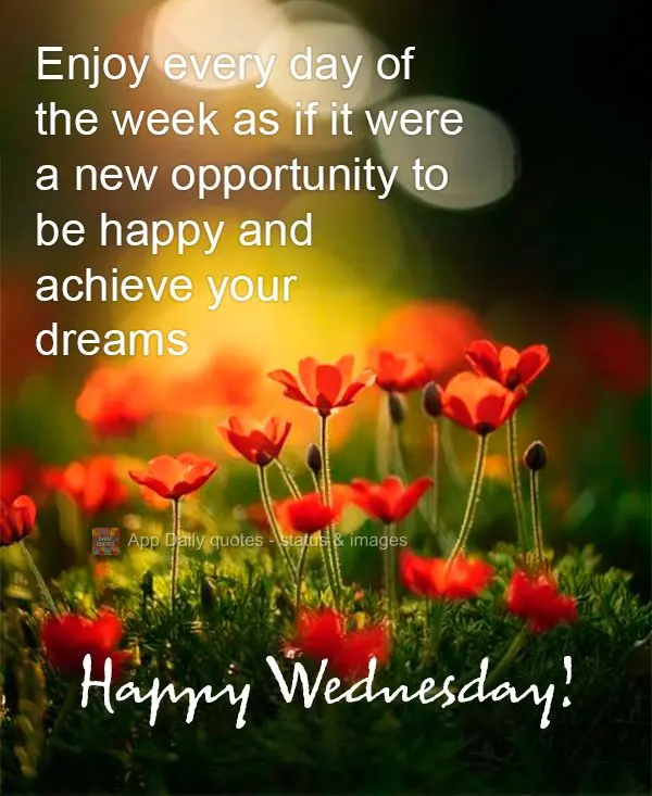 Enjoy every day of the week as if it were a new opportunity to be happy and achieve your dreams Happy Wednesday!