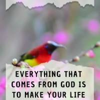 Everything that comes from God will make your life peaceful and prosperous. Believe in Him! Happy Wednesday!