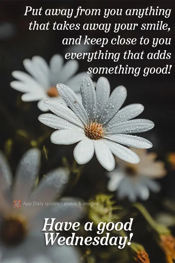 Keep away from you anything that takes away your smile, and keep close to you everything that makes you feel good! Have a good Wednesday!