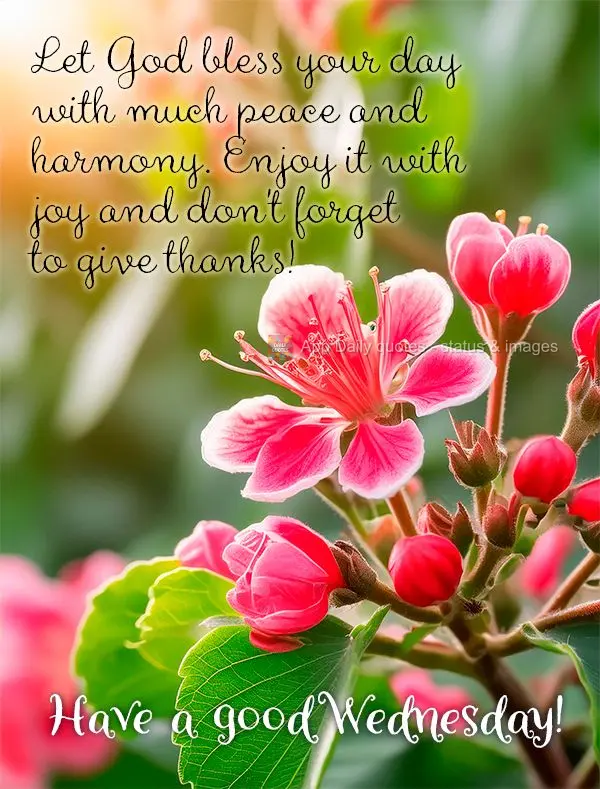 Let God bless your day with much peace and harmony. Enjoy it with joy and don't forget to give thanks! Have a good Wednesday!