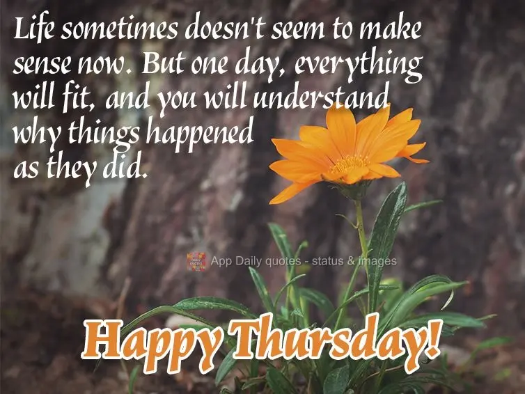 Life sometimes doesn't seem to make sense now. But one day, everything will fit, and you will understand why things happened as they did. Happy Thursday!...
