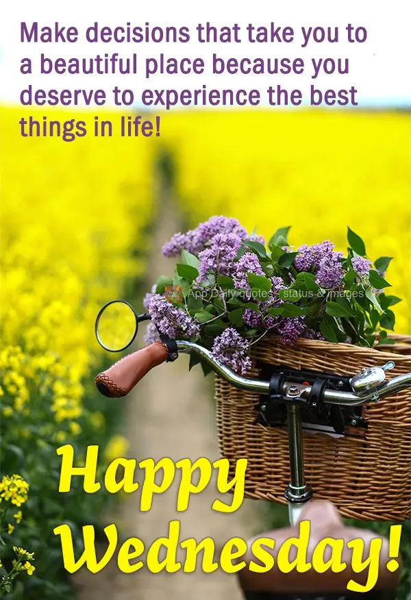 Make decisions that take you to a beautiful place because you deserve to experience the best things in life! Happy Wednesday!
