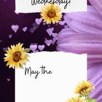 May there be no limits when sharing your love! Wednesday!