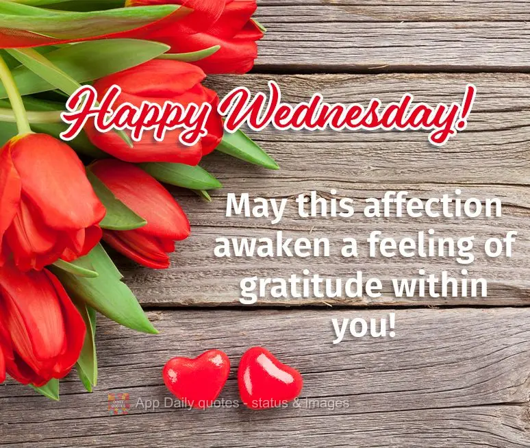 May this affection awaken a feeling of gratitude within you! Happy Wednesday!