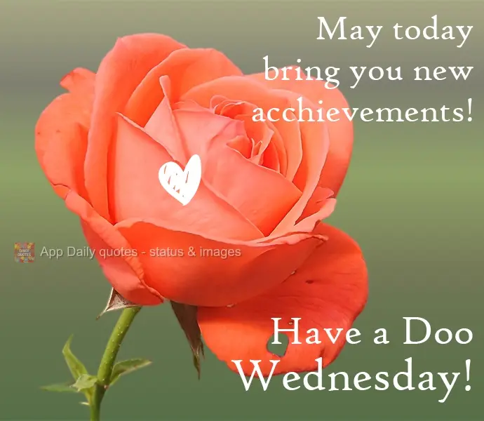 May today bring you new acchievements! Have a Good Wednesday!